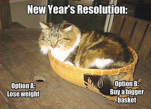 NEW YEARS RESOLUTION FOR DOGS